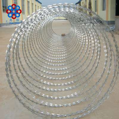 Hot dipped galvanized razor barb wire fencing CBT-65